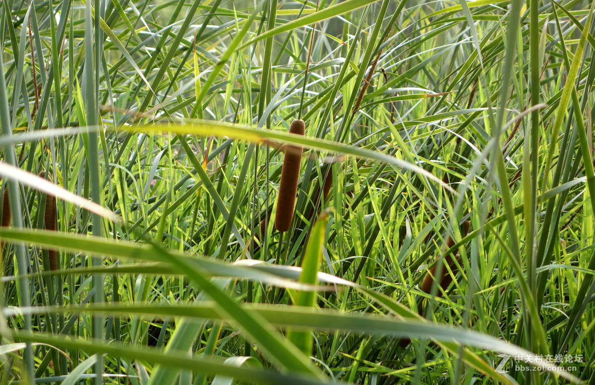 平常路，平安路，平平常常才是真