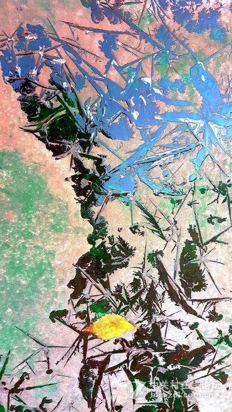 大自然造就的冰画