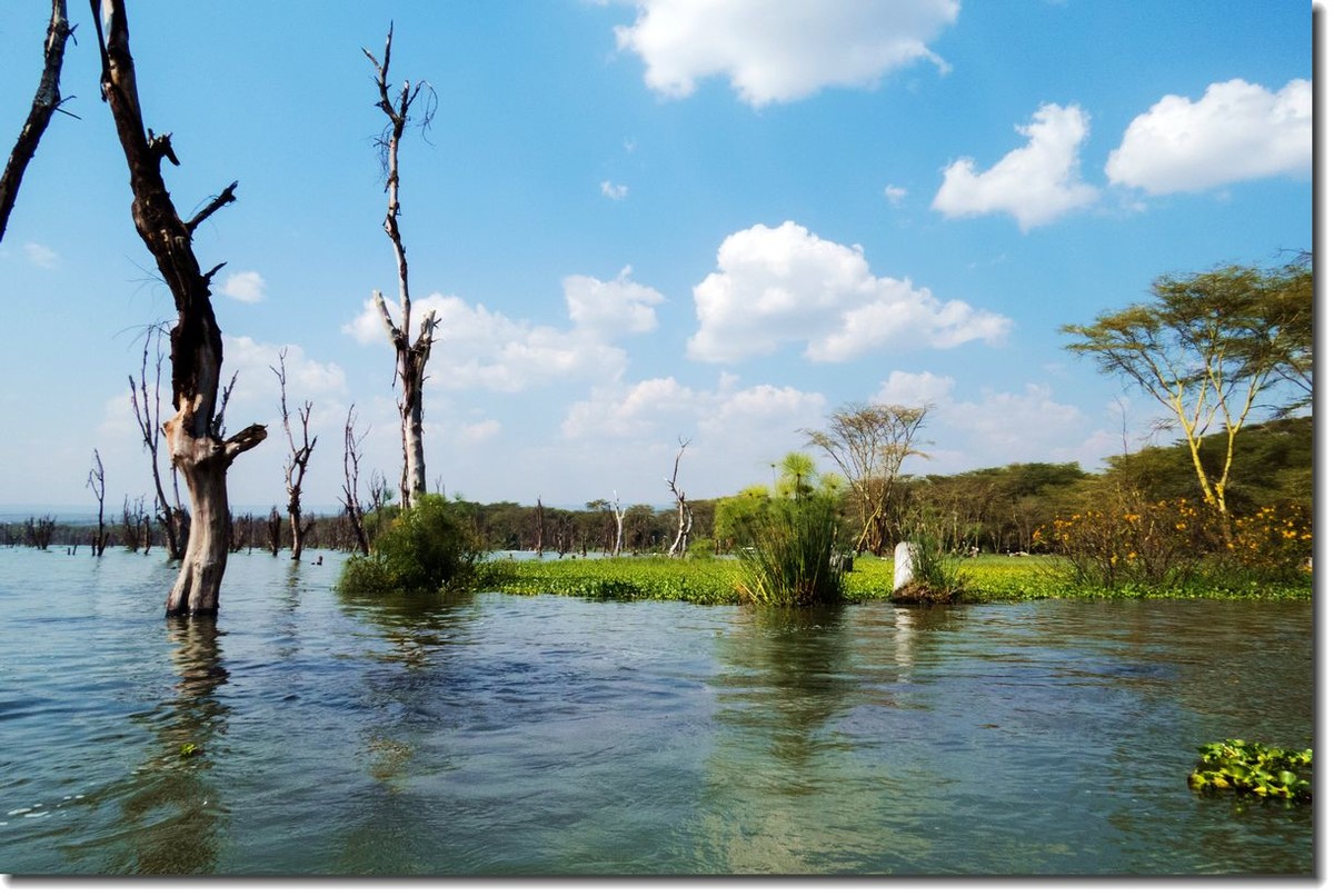 【东非纪行】纳瓦沙湖