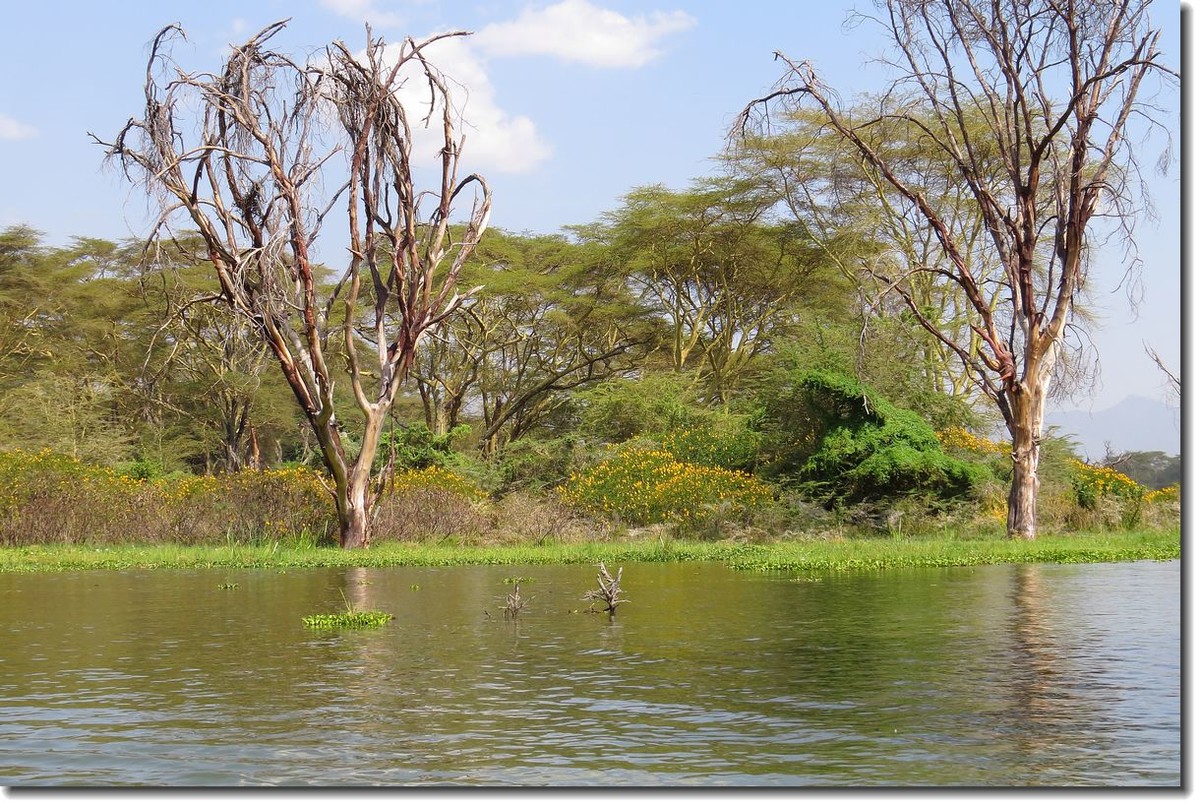 【东非纪行】纳瓦沙湖