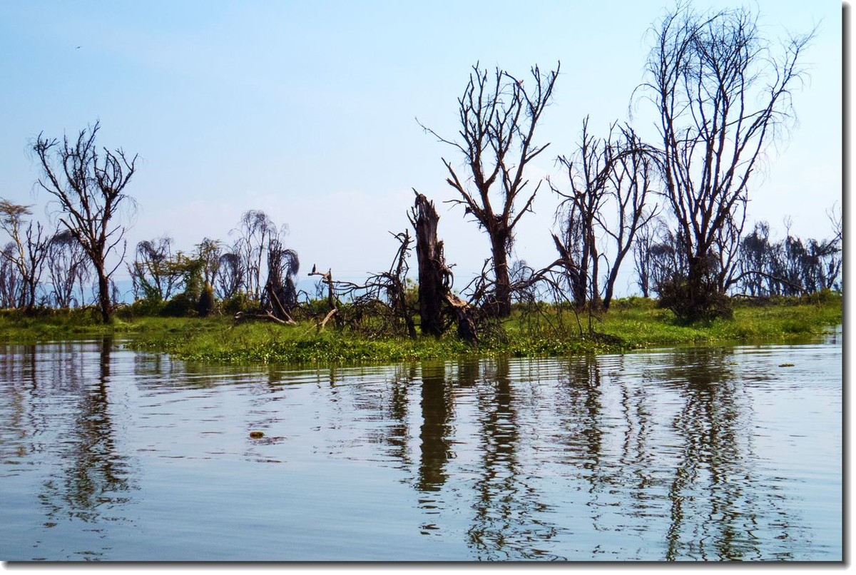 【东非纪行】纳瓦沙湖