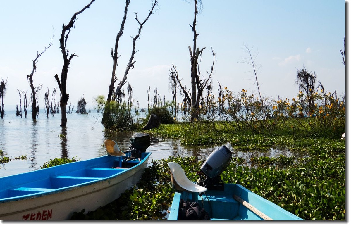 【东非纪行】纳瓦沙湖