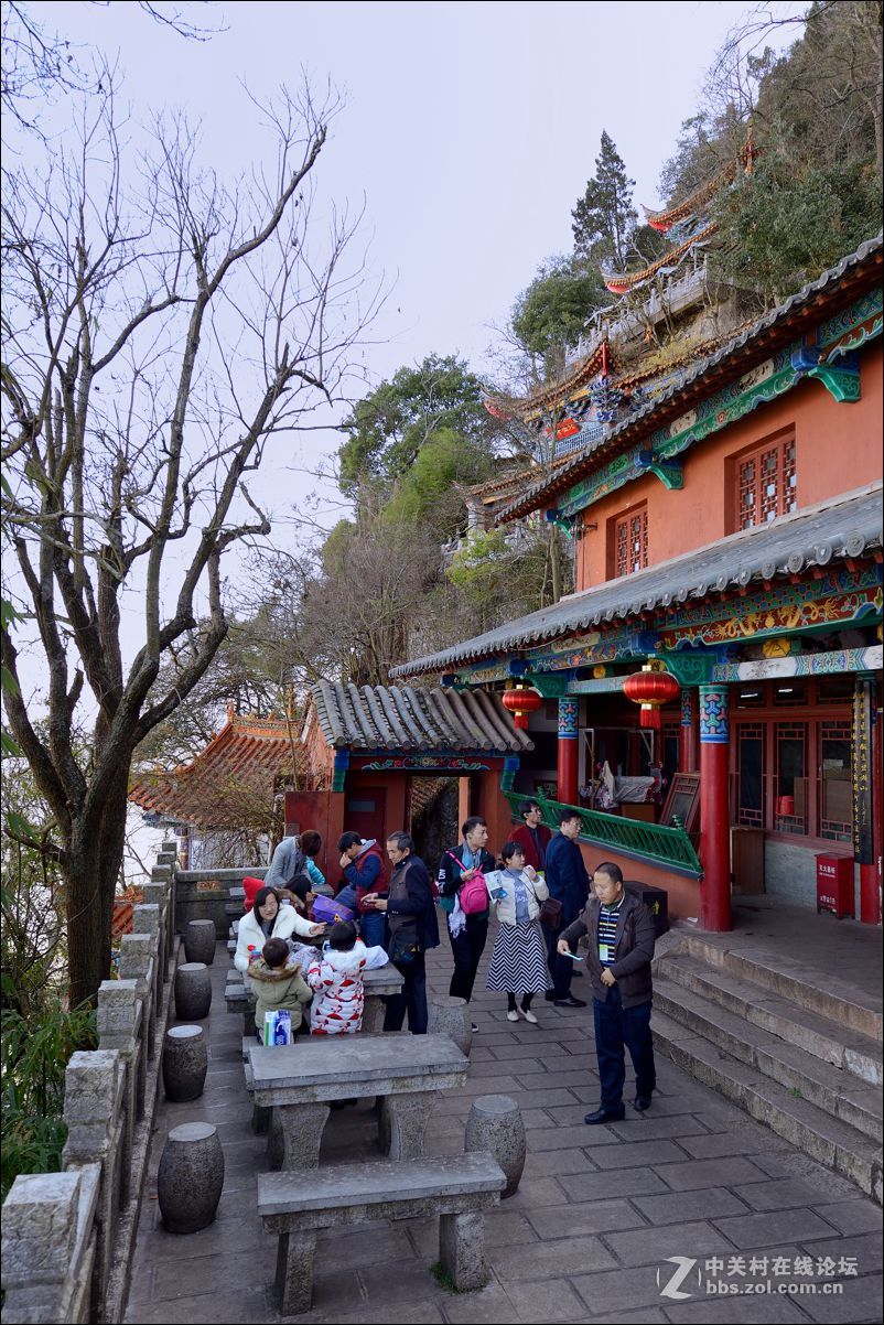 休闲随拍（363）