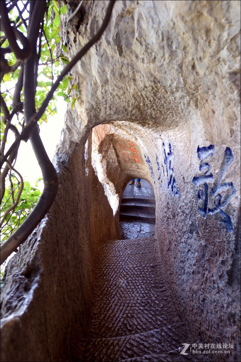 休闲随拍（363）