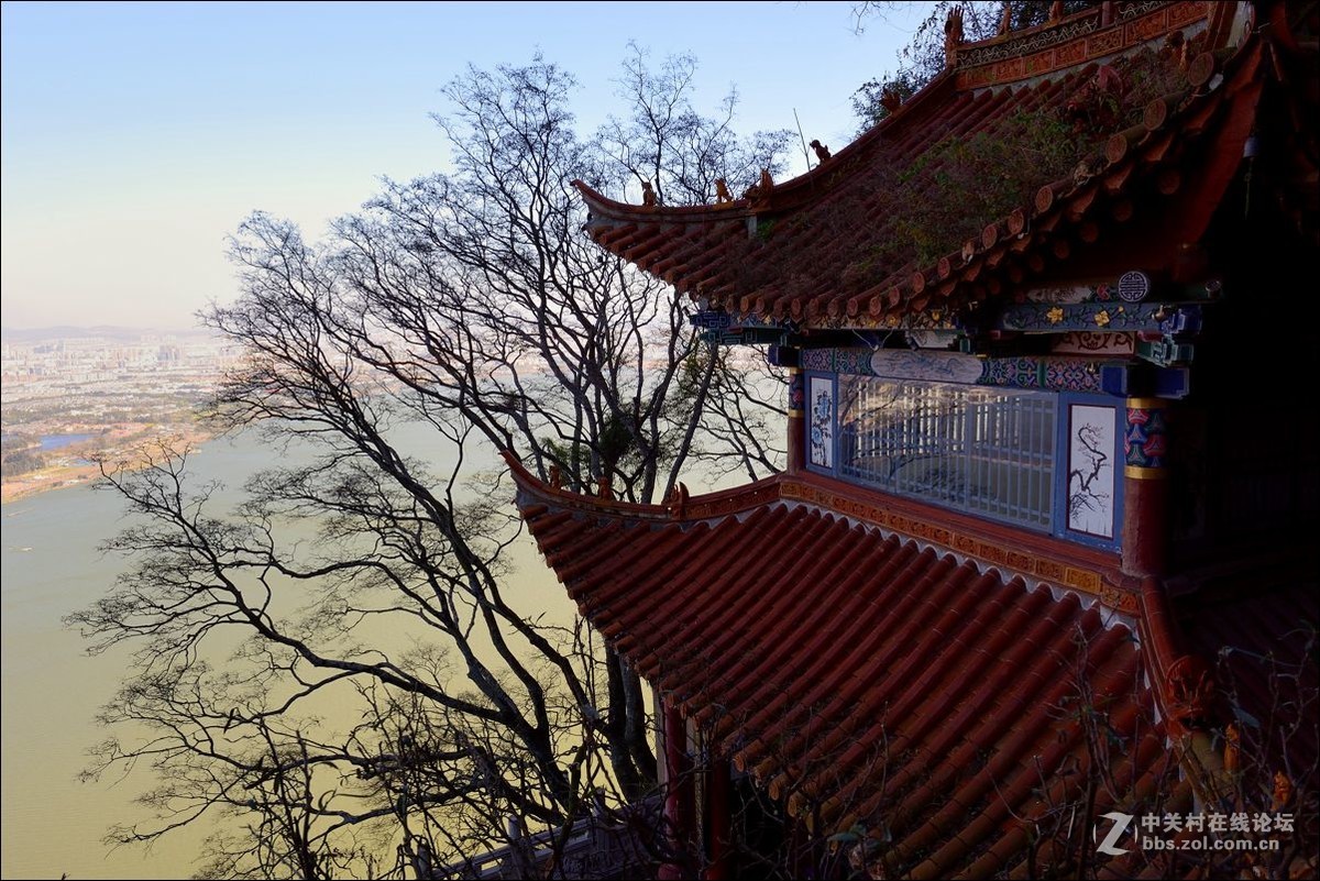 休闲随拍（363）