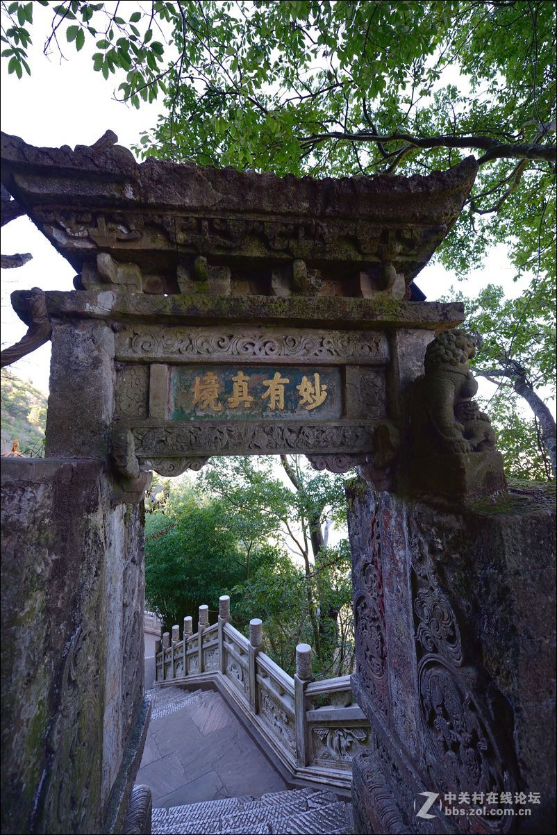 休闲随拍（363）