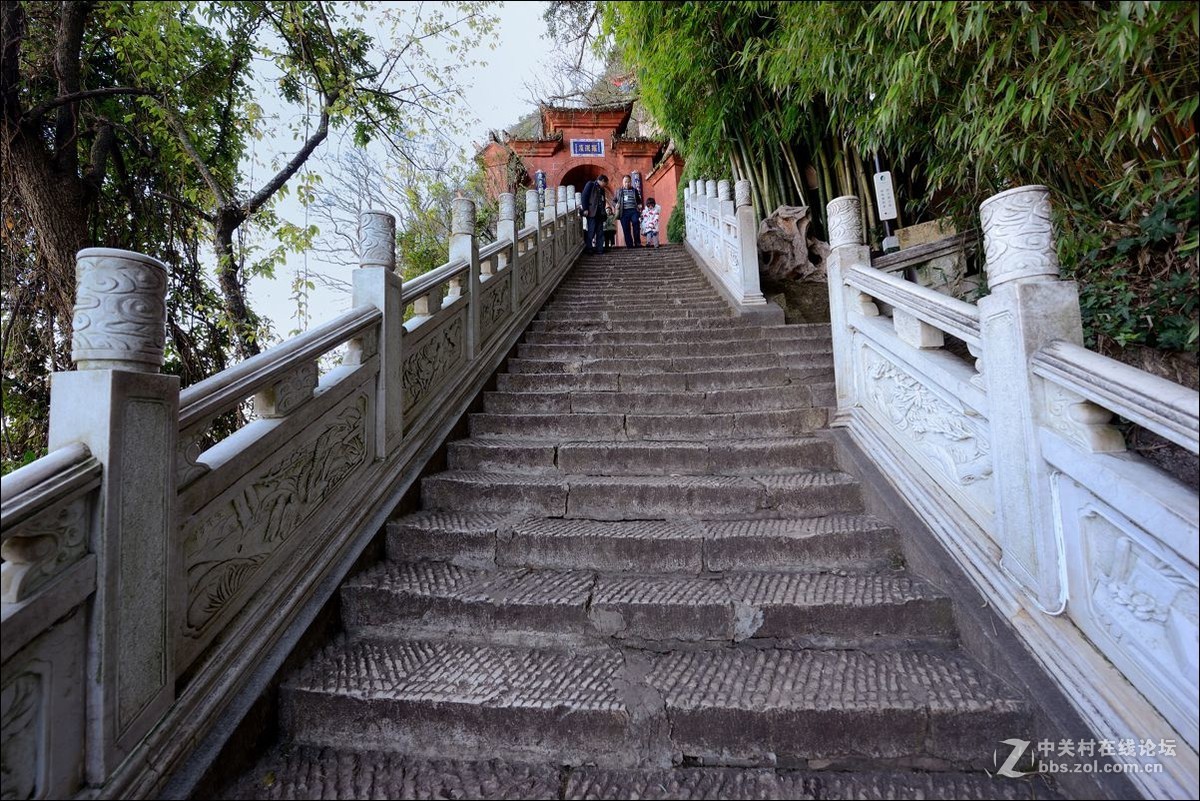 休闲随拍（363）