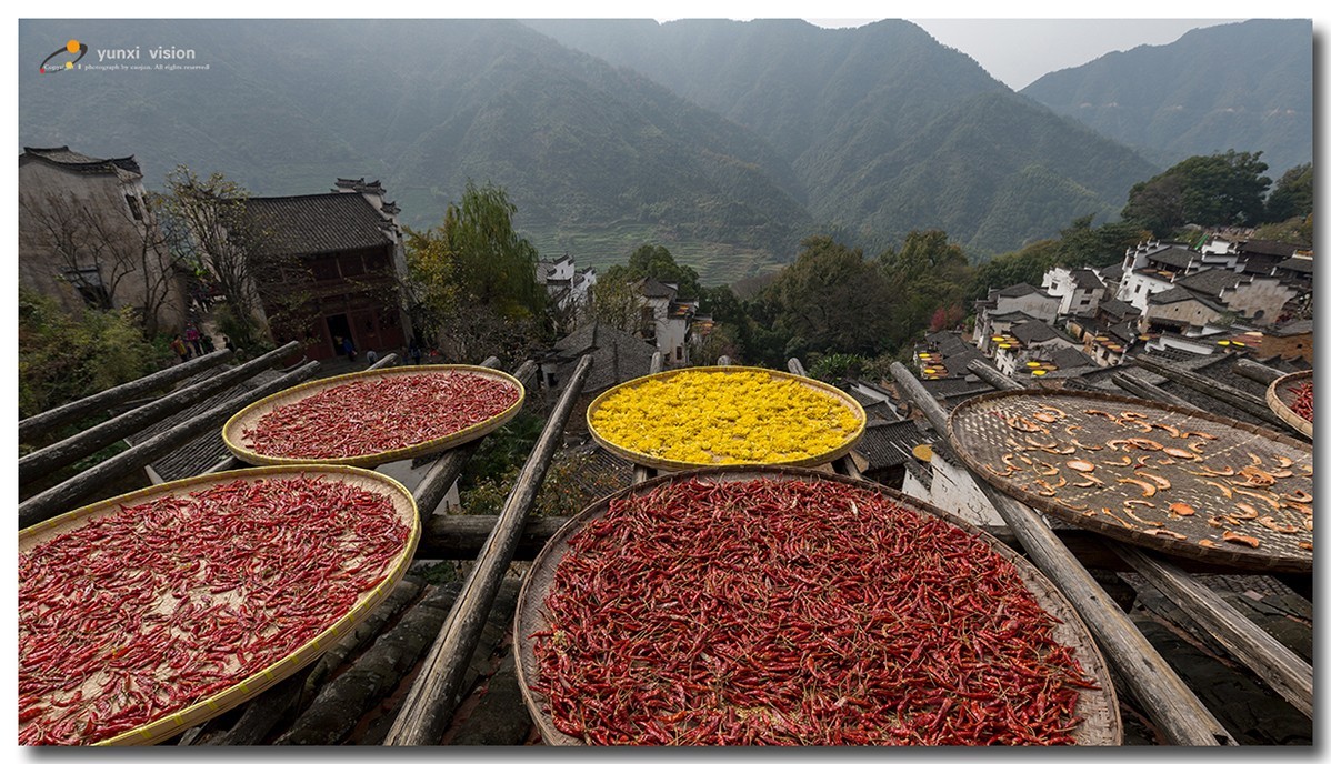 #佳能月赛-一叶知秋#探访婺源簧岭