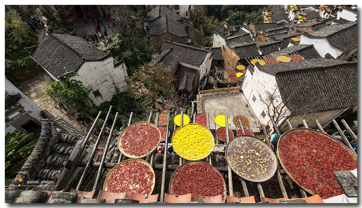 #佳能月赛-一叶知秋#探访婺源簧岭