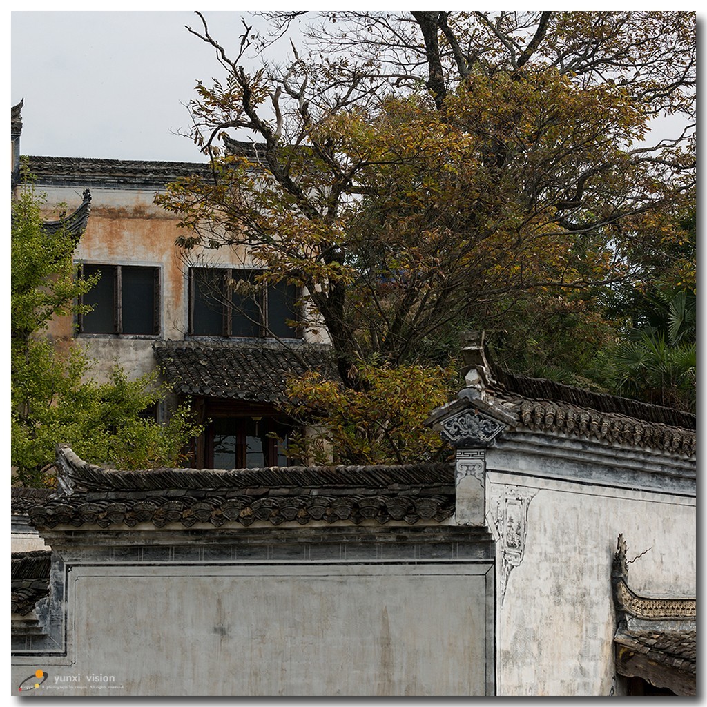 #佳能月赛-一叶知秋#探访婺源簧岭