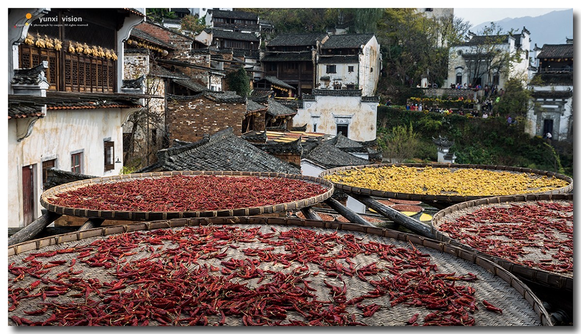 #佳能月赛-一叶知秋#探访婺源簧岭