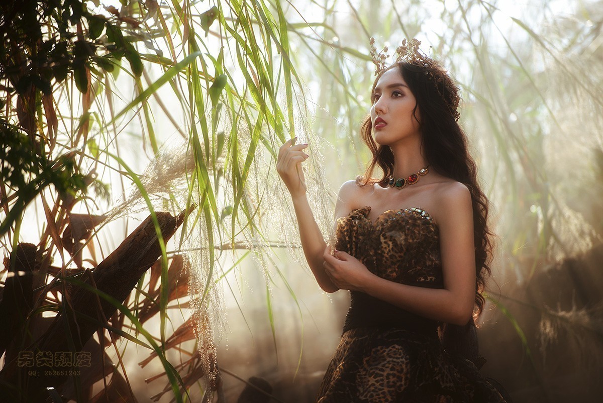 斜阳芦影~~~~~~颓废作品