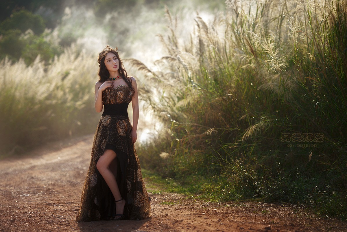 斜阳芦影~~~~~~颓废作品