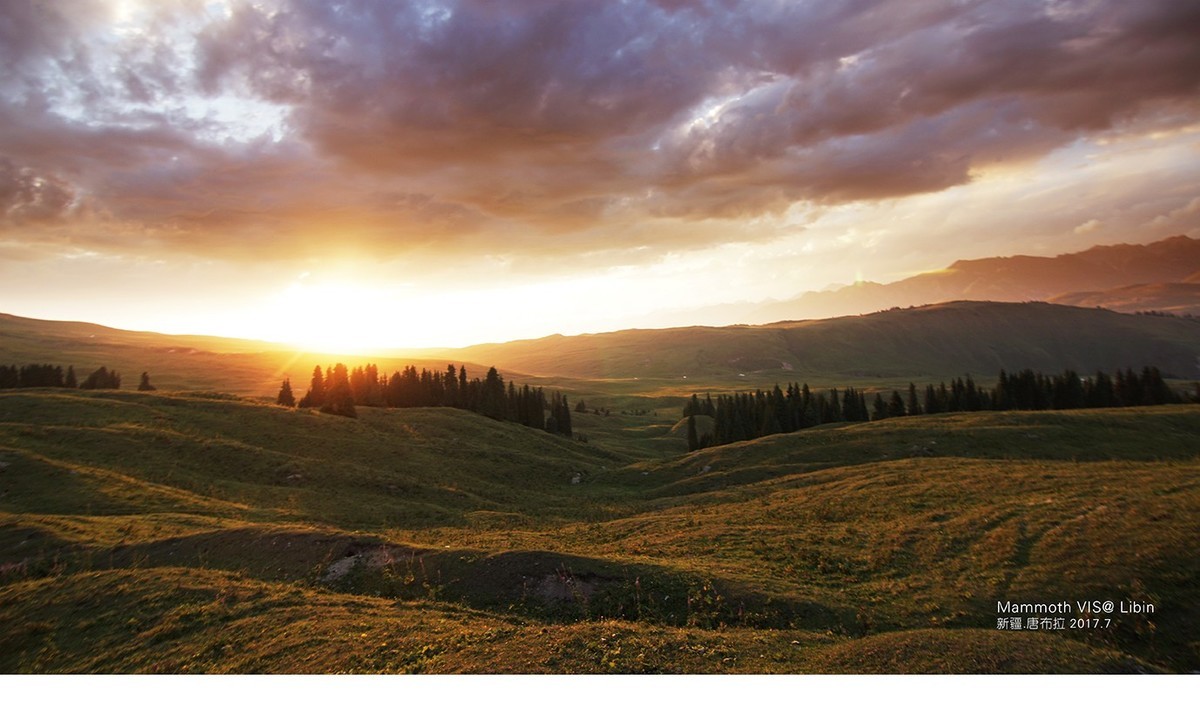 入手一年多，A6300拍的杂片。