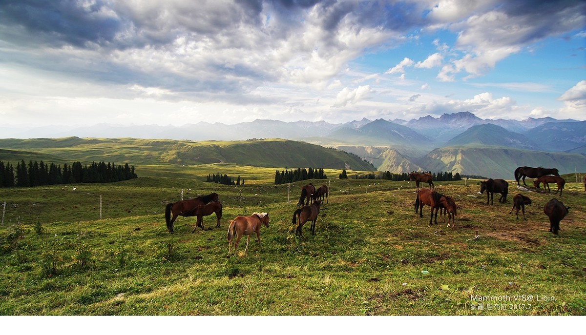 入手一年多，A6300拍的杂片。