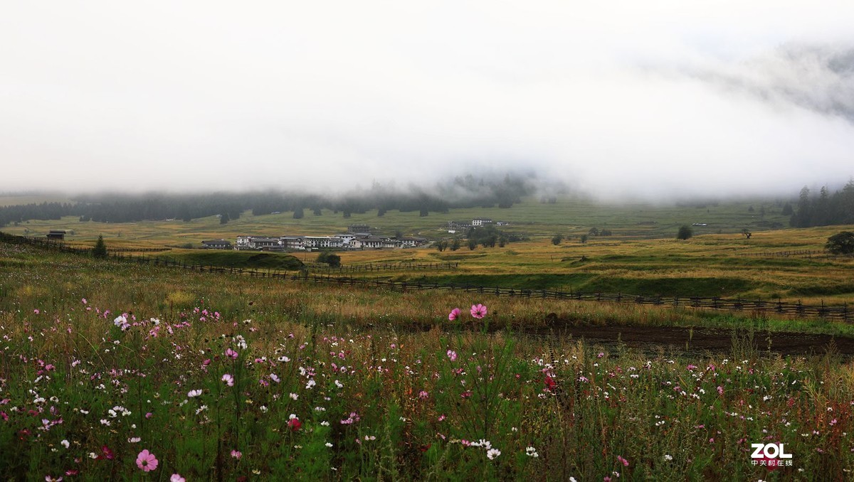 我理想中的世外桃园——扎西岗村