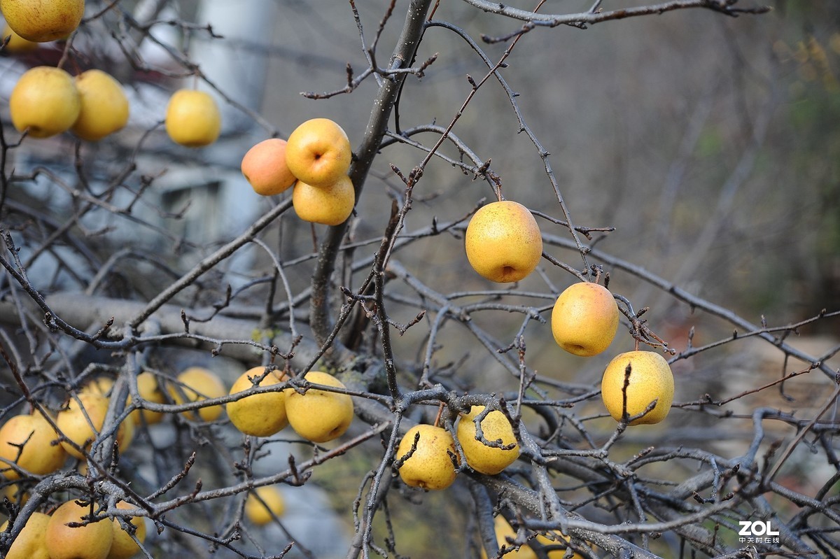 中国国家地理最美乡村——甲居臧寨3