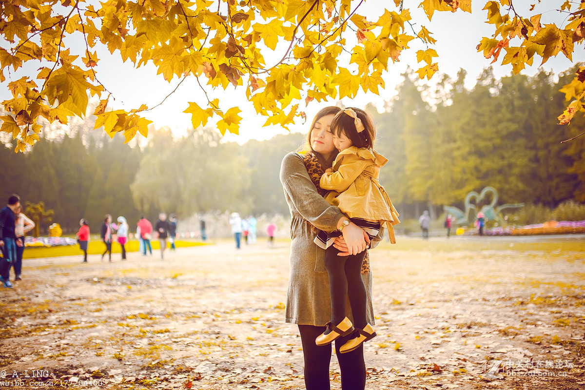 秋日私语..............