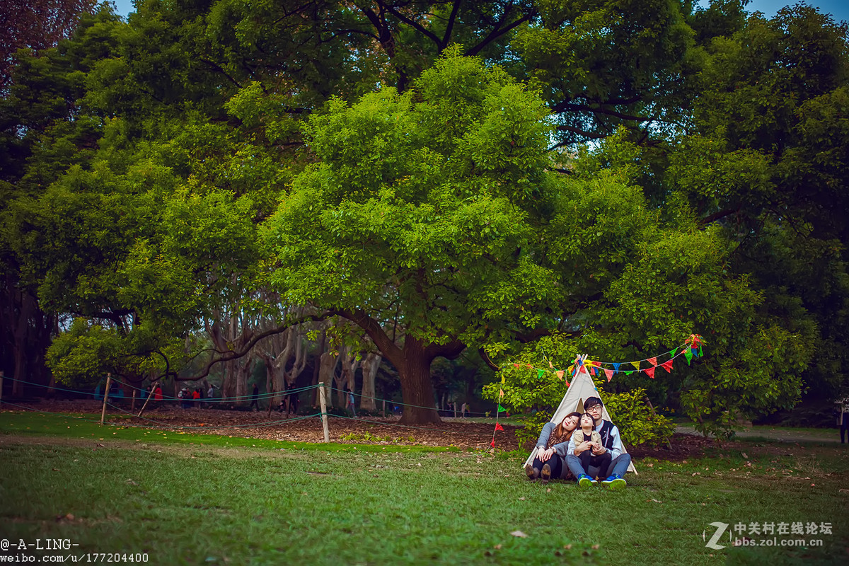 秋日私语..............