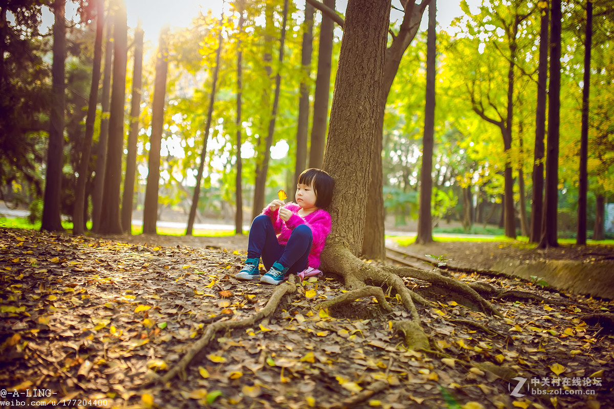 秋日私语..............