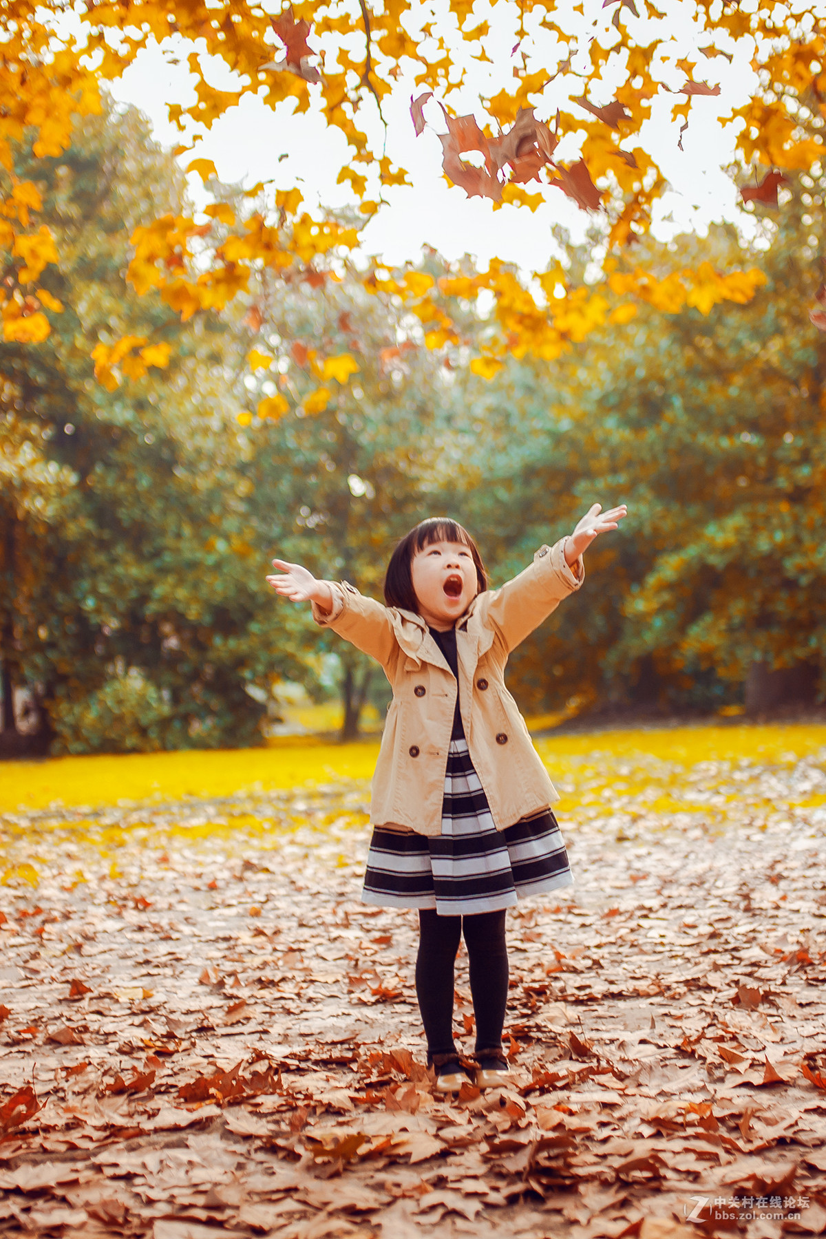 秋日私语..............