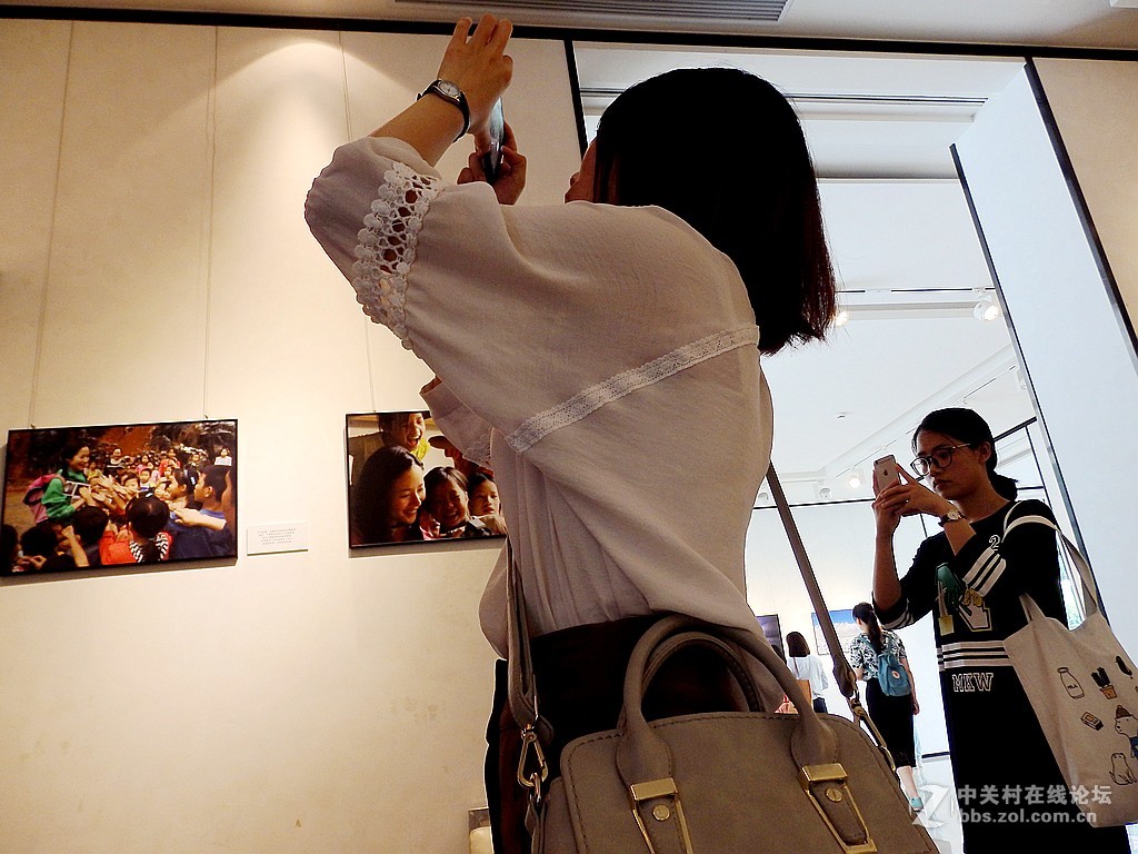 江一燕子摄影展============