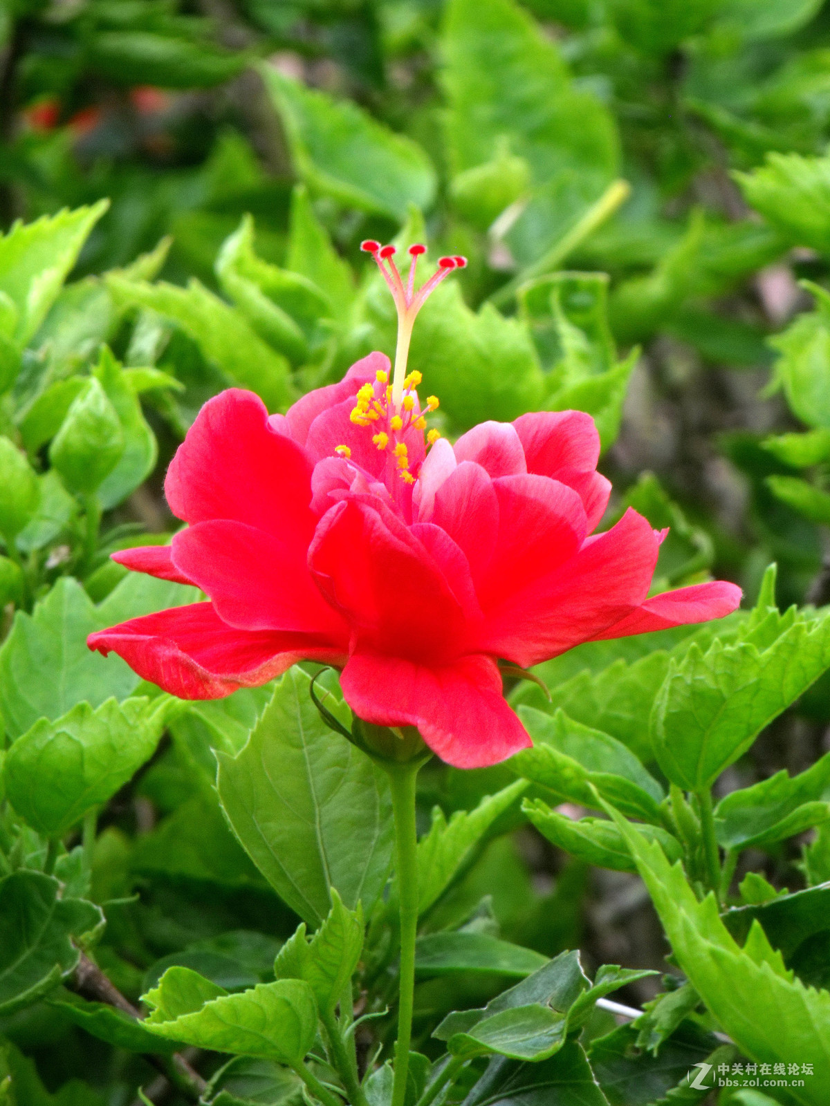 小5的使用价值已经快到极限了，随发景物！