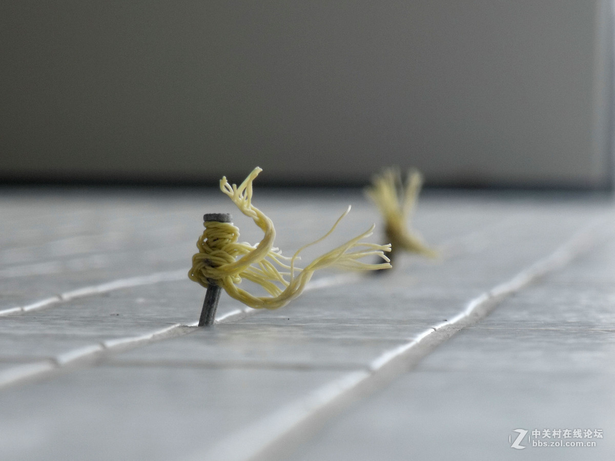 小5的使用价值已经快到极限了，随发景物！