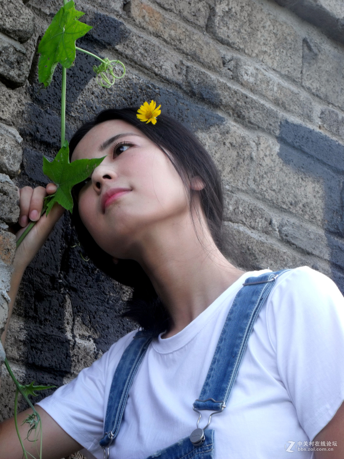 小5的使用价值已经快到极限了，随发景物！