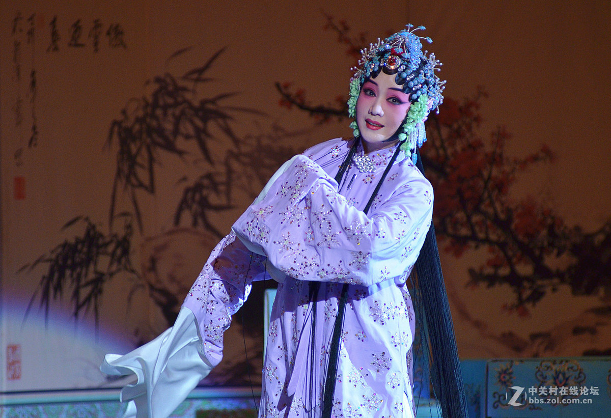 京剧春闺梦天津青年京剧团刘桂娟姬鹏