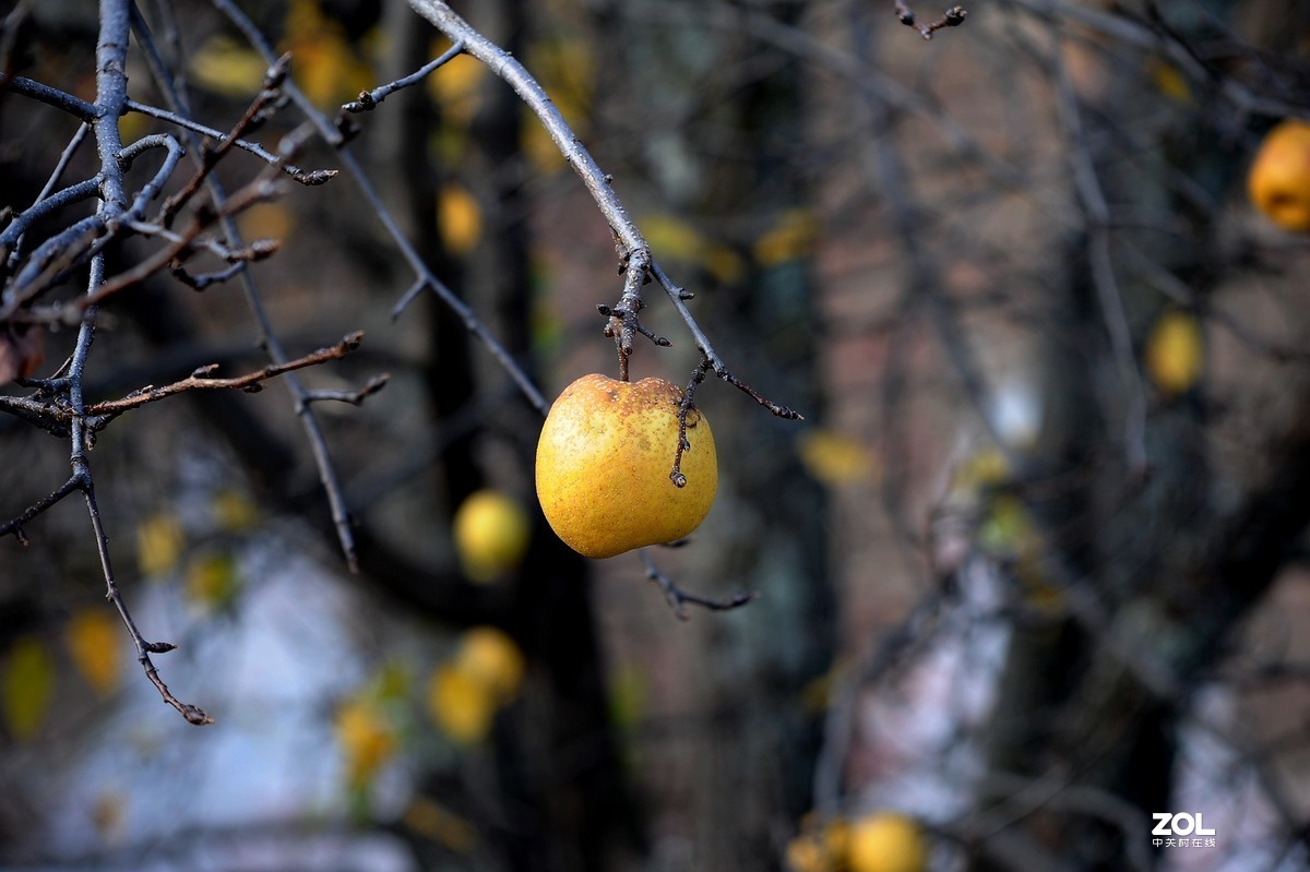中国国家地理最美乡村——甲居臧寨3