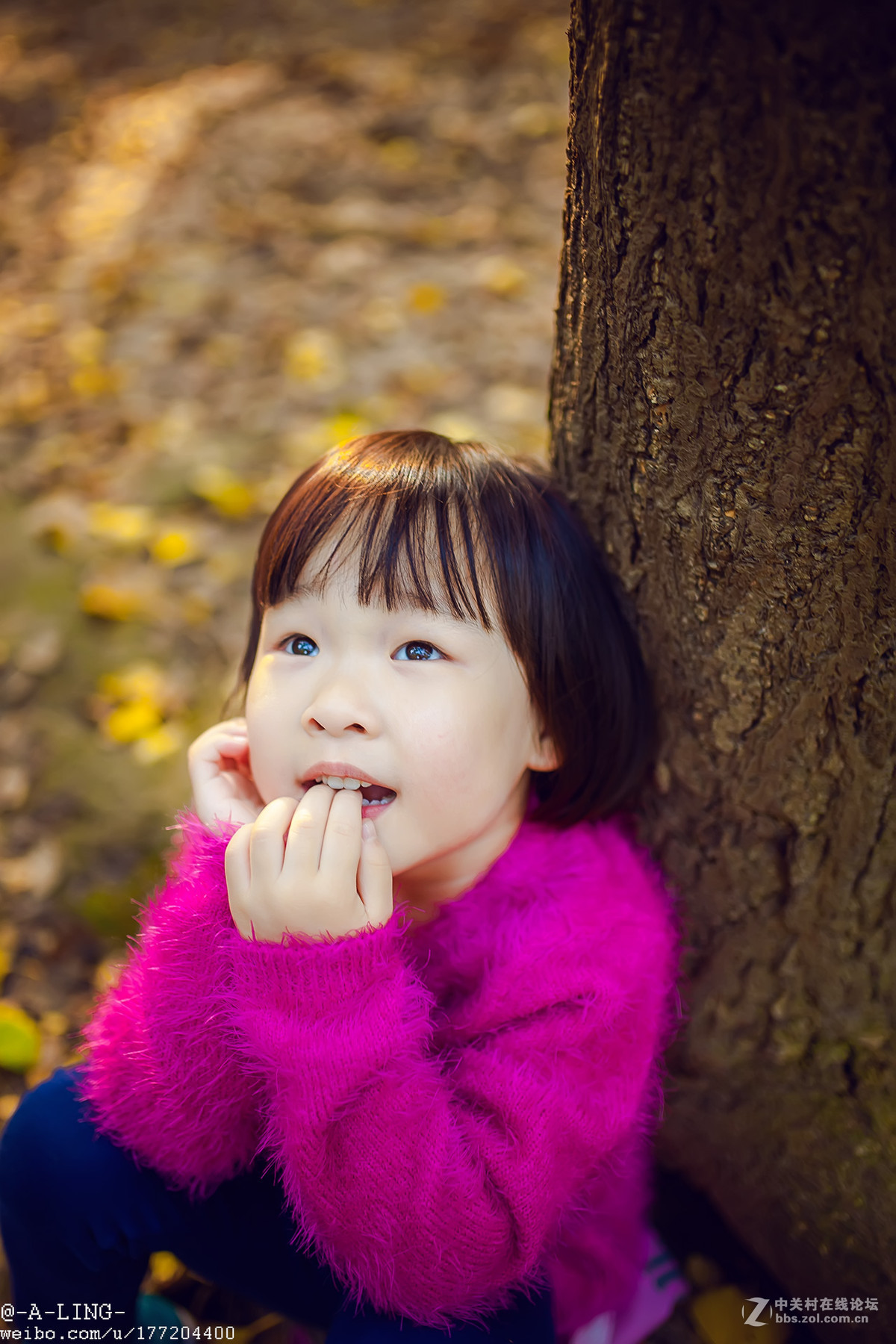 秋日私语..............