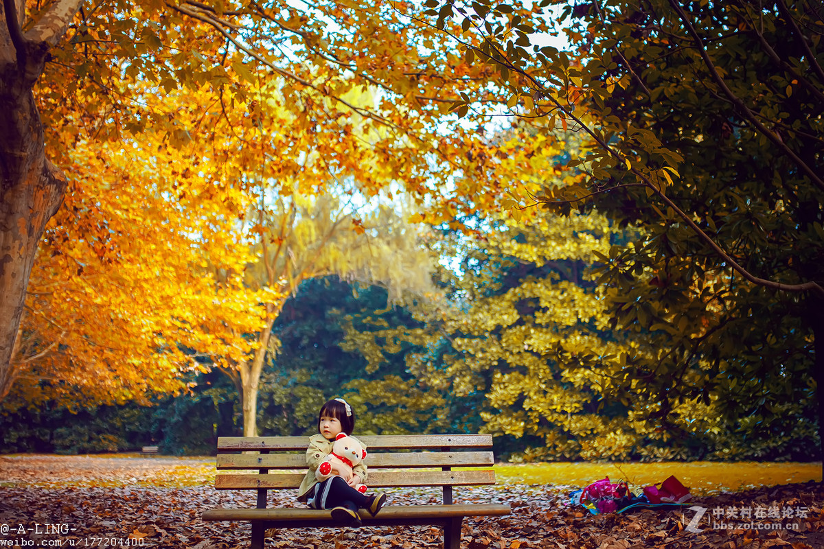 秋日私语..............