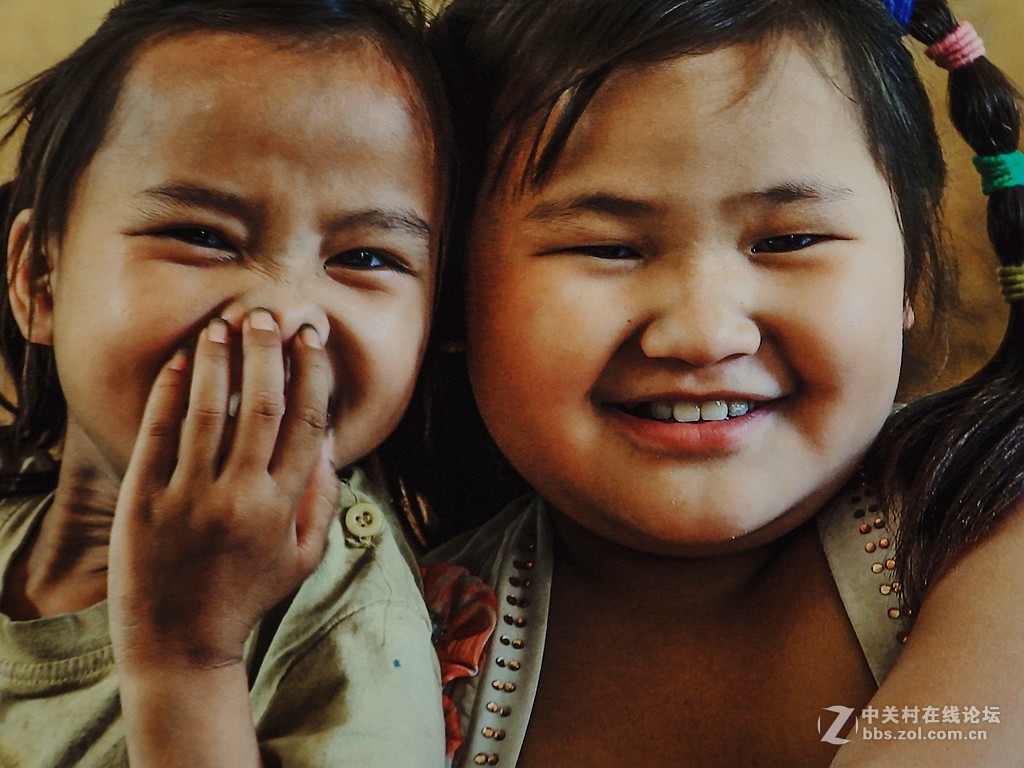 江一燕子摄影展============