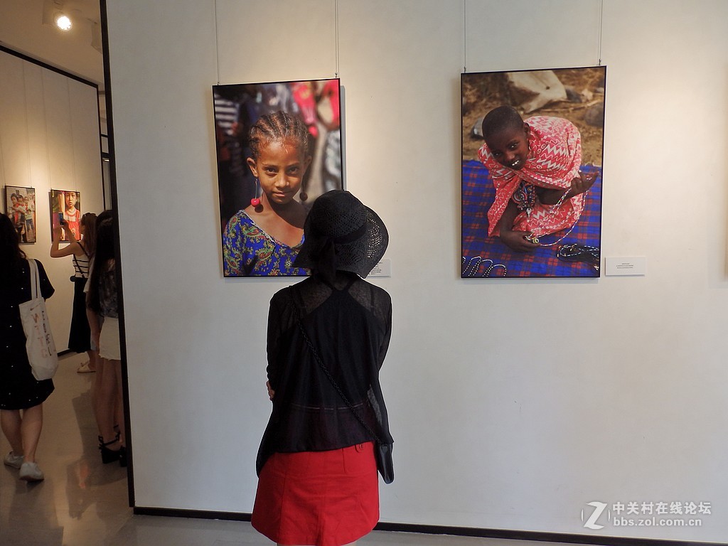 江一燕子摄影展============