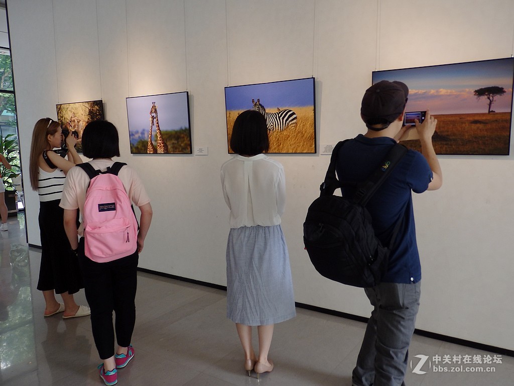 江一燕子摄影展============