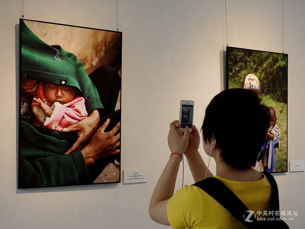 江一燕子摄影展============