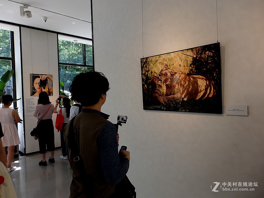 江一燕子摄影展============