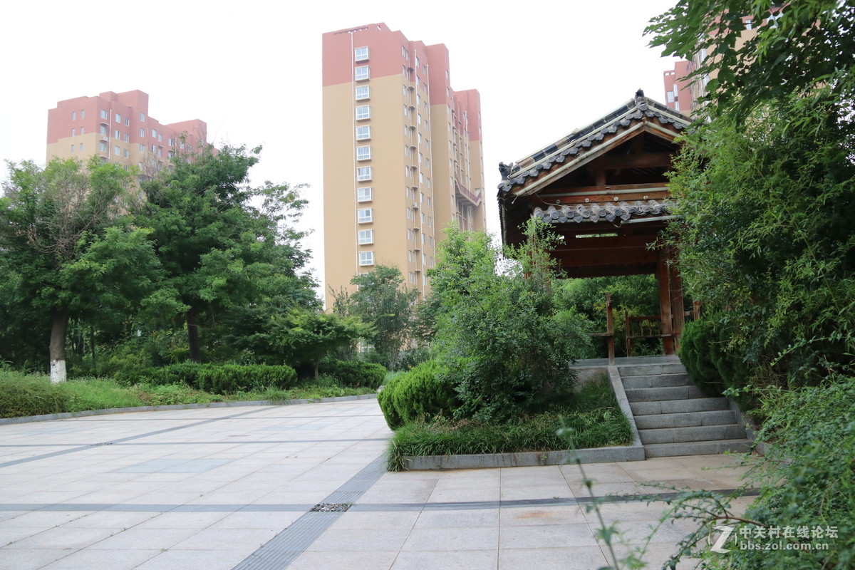 坛山脚下森林公园原片