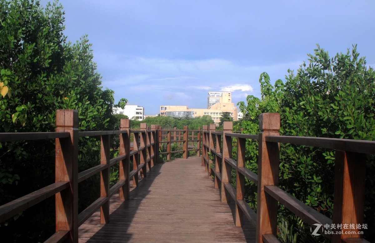 小5的使用价值已经快到极限了，随发景物！