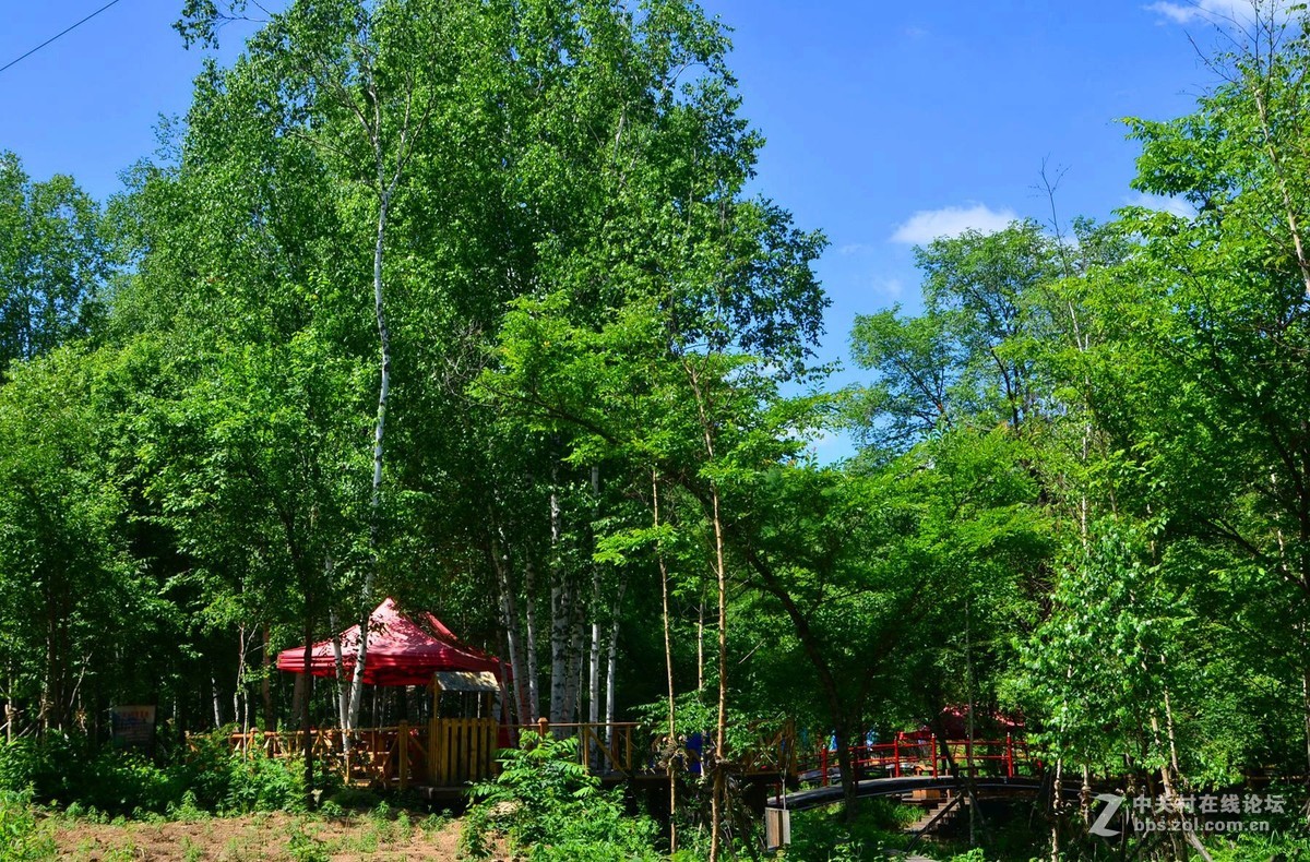 夹皮沟森林公园