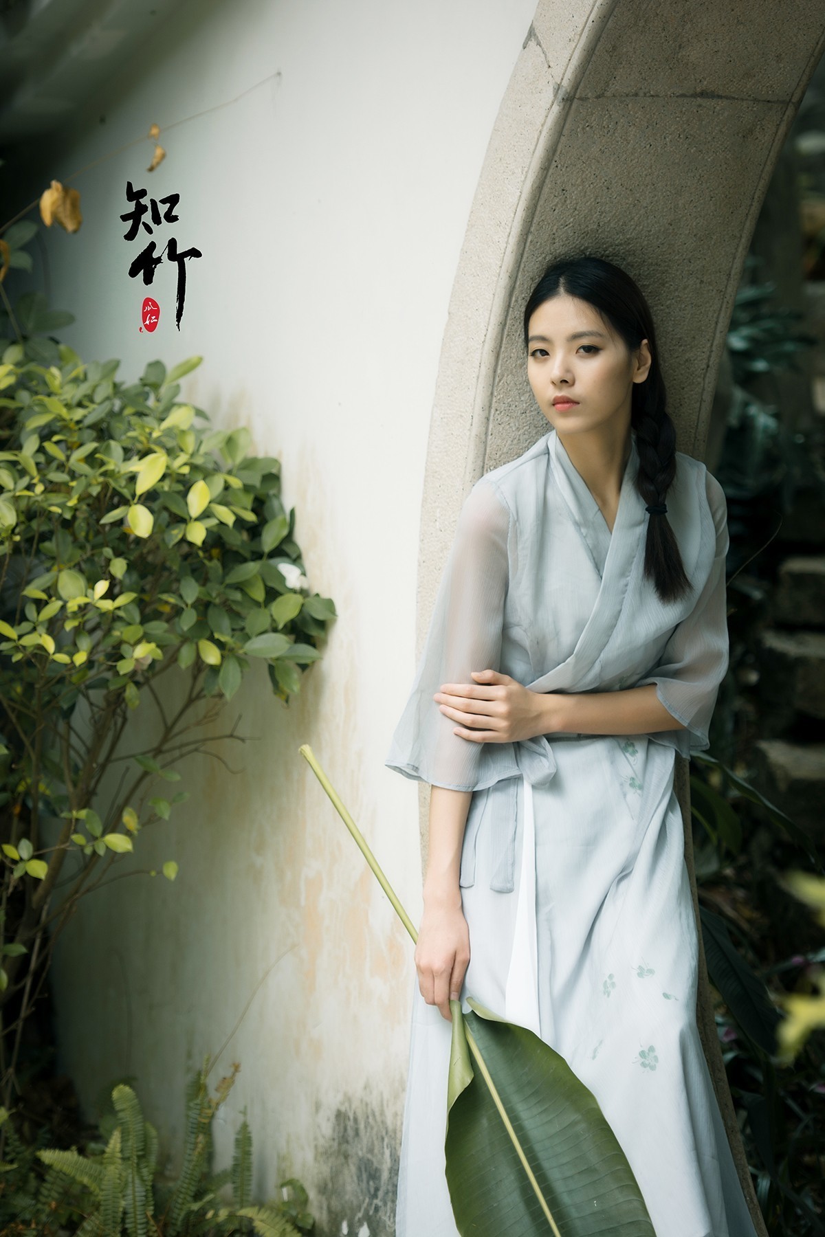 知竹
