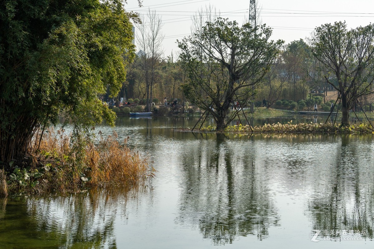 成都北湖生態公園第一期201911重新開放