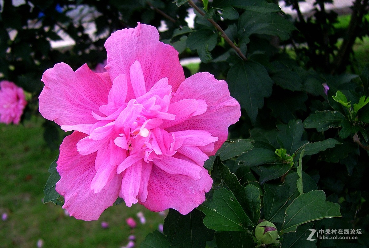 星空体育平台NV10大榭岛随拍