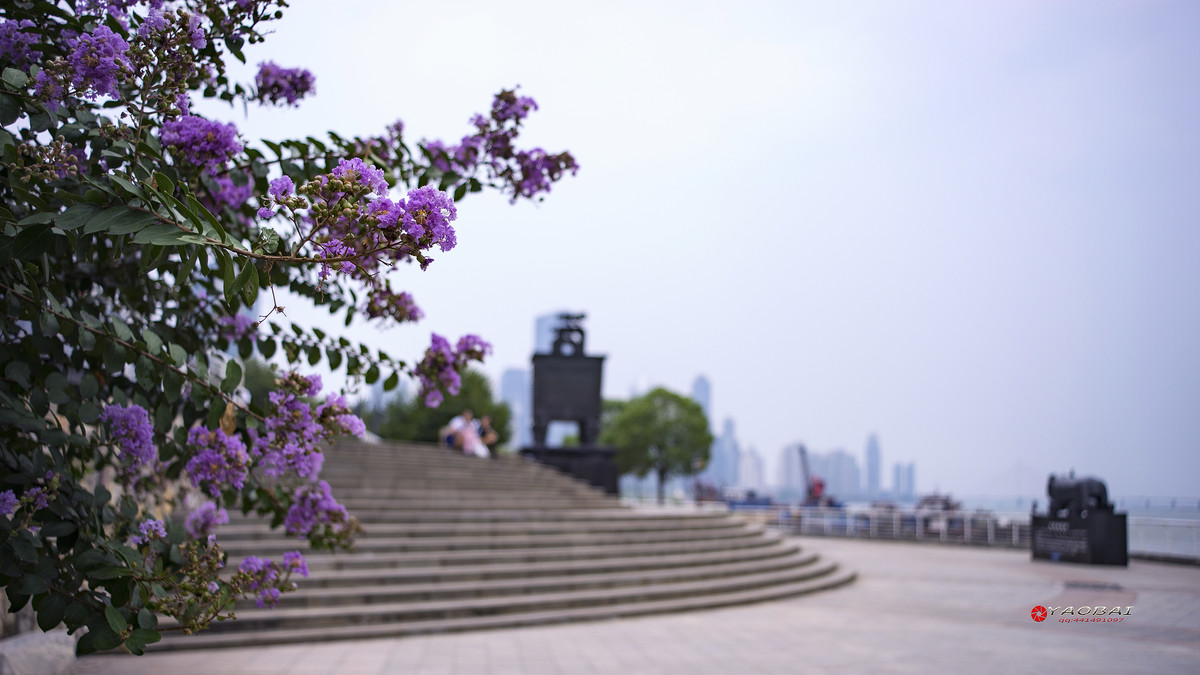 【摇摆风景】yashica ML28-50F3.5变焦头试镜