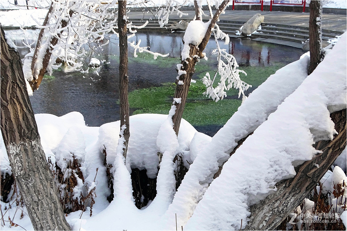 【暴雪后的乌鲁木齐“水磨沟”】