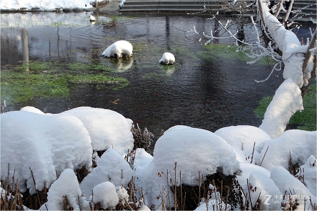 【暴雪后的乌鲁木齐“水磨沟”】