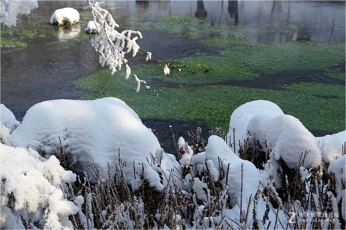 【暴雪后的乌鲁木齐“水磨沟”】