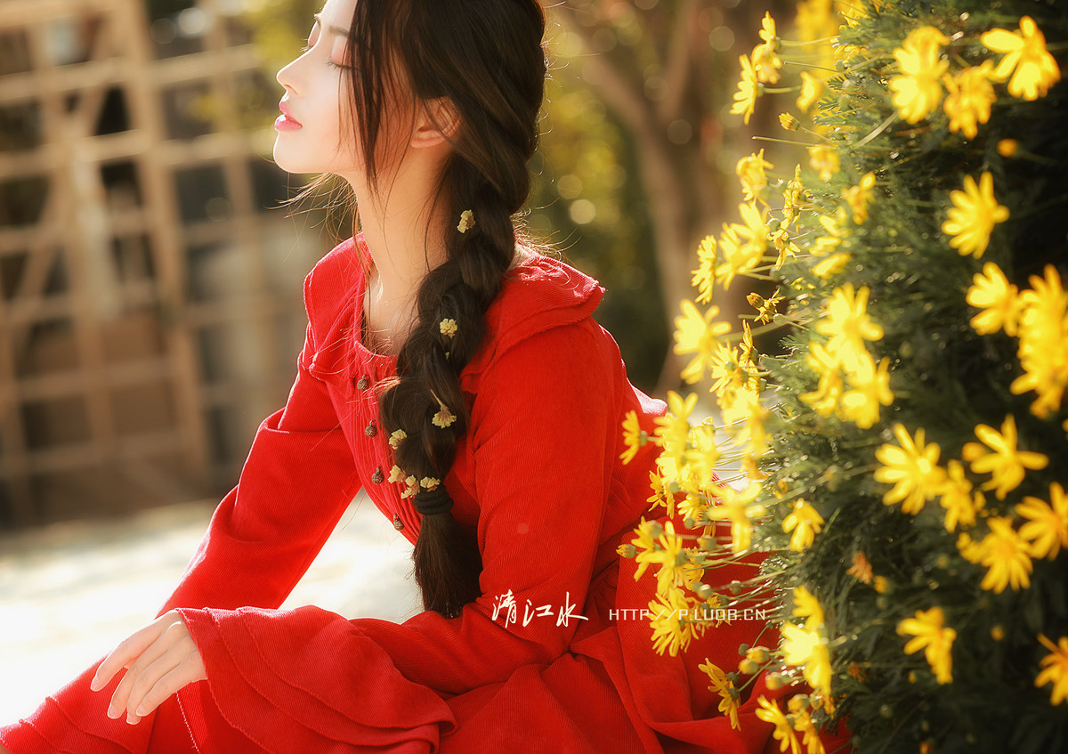 我有一个梦想，和阳光一样灿烂芳香而自由