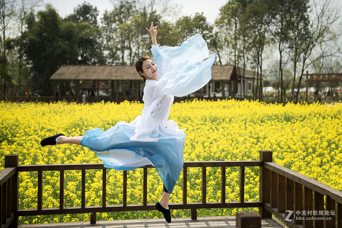 《生如夏花》第十二届中国舞蹈荷花奖民族民间舞参评作品_哔哩哔哩_bilibili